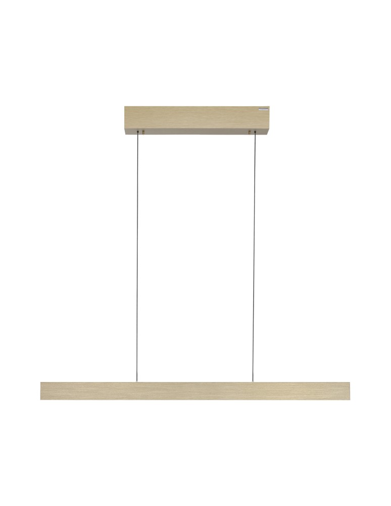 Paul Neuhaus Pure E-Motion Lampa Wisząca Matowy Mosiądz 2570-60