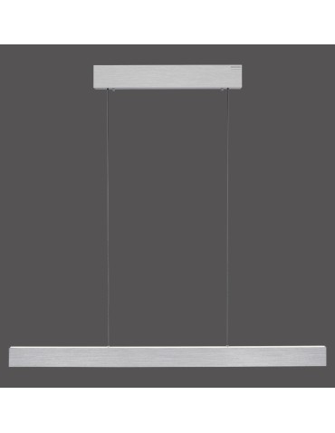 Paul Neuhaus Pure E-Motion Lampa Wisząca Aluminium 2570-95