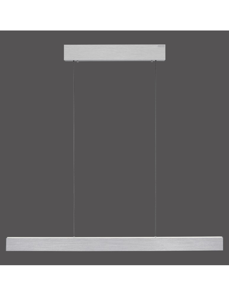 Paul Neuhaus Pure E-Motion Lampa Wisząca Aluminium 2570-95
