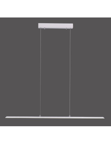 Paul Neuhaus Pure Lite Lampa Wisząca Srebrny 8375-55
