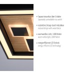 Paul Neuhaus Eliza Lampa Sufitowa Drewno/Czarny 6283-79