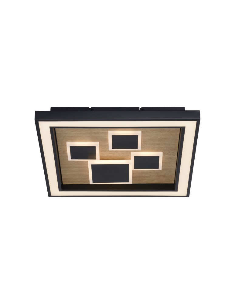 Paul Neuhaus Eliza Lampa Sufitowa Drewno/Czarny 6283-79