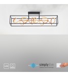 Paul Neuhaus Selina Lampa Sufitowa Czarny/Złoty 6473-18