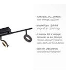 Paul Neuhaus Sileda Lampa Sufitowa Czarny 6785-13