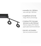 Paul Neuhaus Sileda Lampa Sufitowa Czarny 6786-13