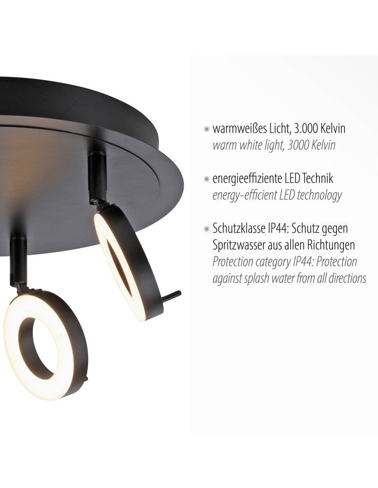 Paul Neuhaus Sileda Lampa Sufitowa Antracyt 6788-13