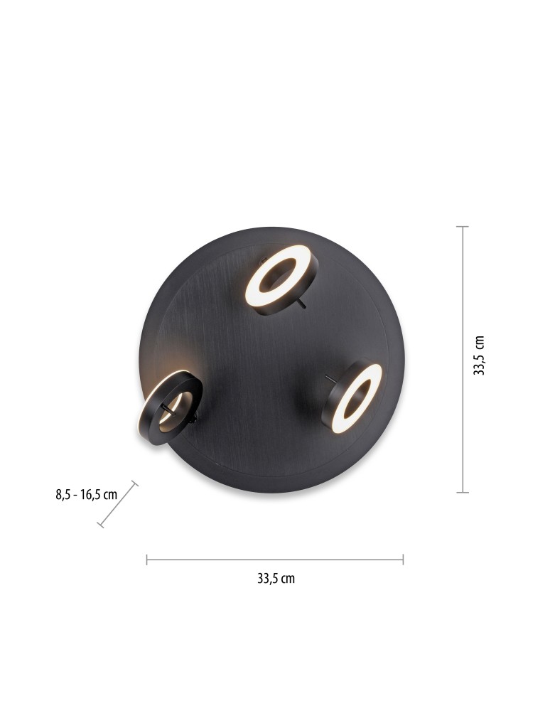 Paul Neuhaus Sileda Lampa Sufitowa Antracyt 6788-13