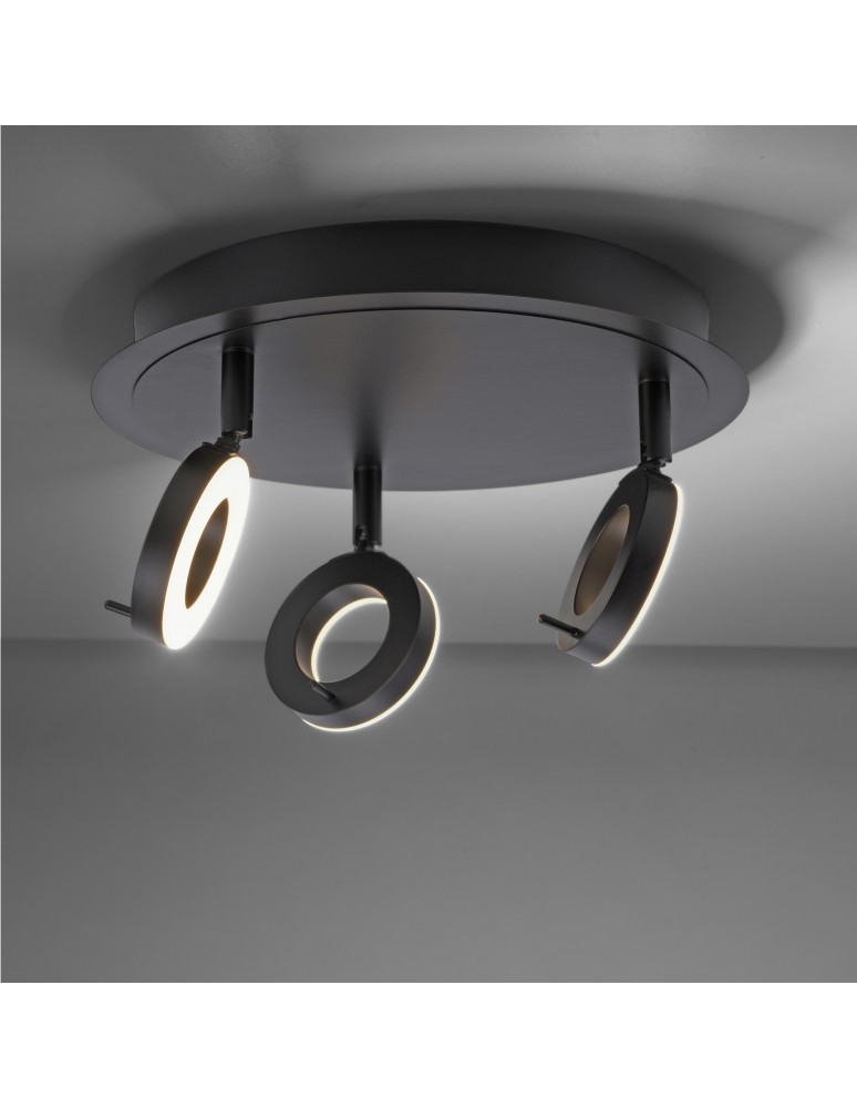Paul Neuhaus Sileda Lampa Sufitowa Antracyt 6788-13
