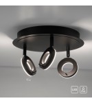 Paul Neuhaus Sileda Lampa Sufitowa Antracyt 6788-13