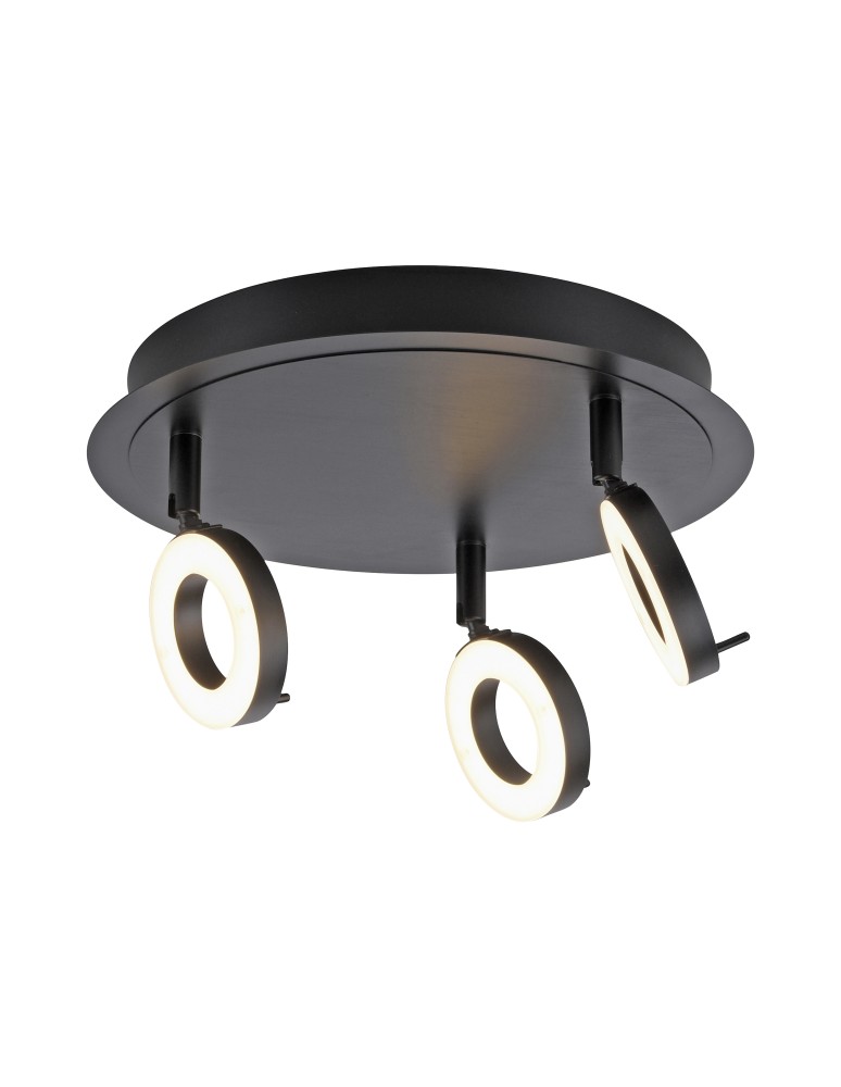Paul Neuhaus Sileda Lampa Sufitowa Antracyt 6788-13