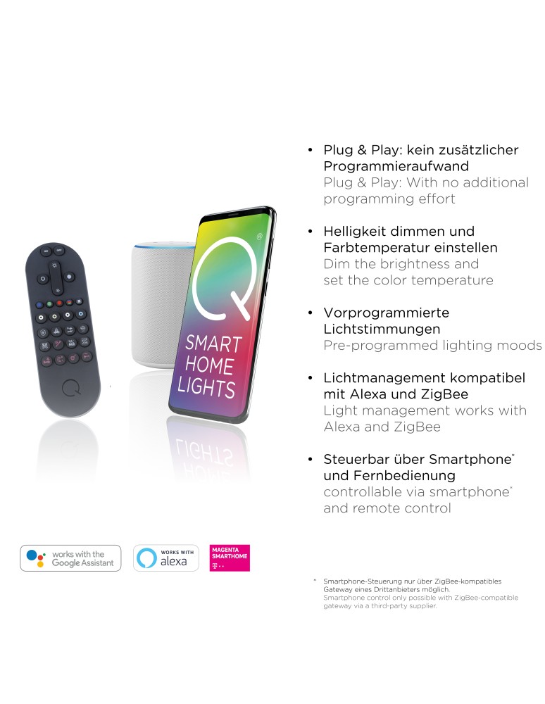 Paul Neuhaus Q-Vito Lampa Wisząca Stalowy 8410-55