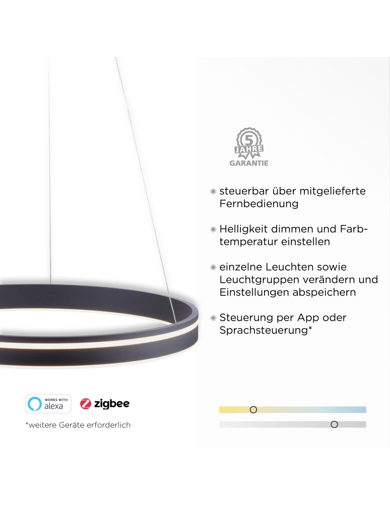 Paul Neuhaus Q-Vito Lampa Wisząca Antracyt 8411-13