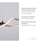 Paul Neuhaus Polia Lampa Wisząca Czarny/Złoty 9142-18