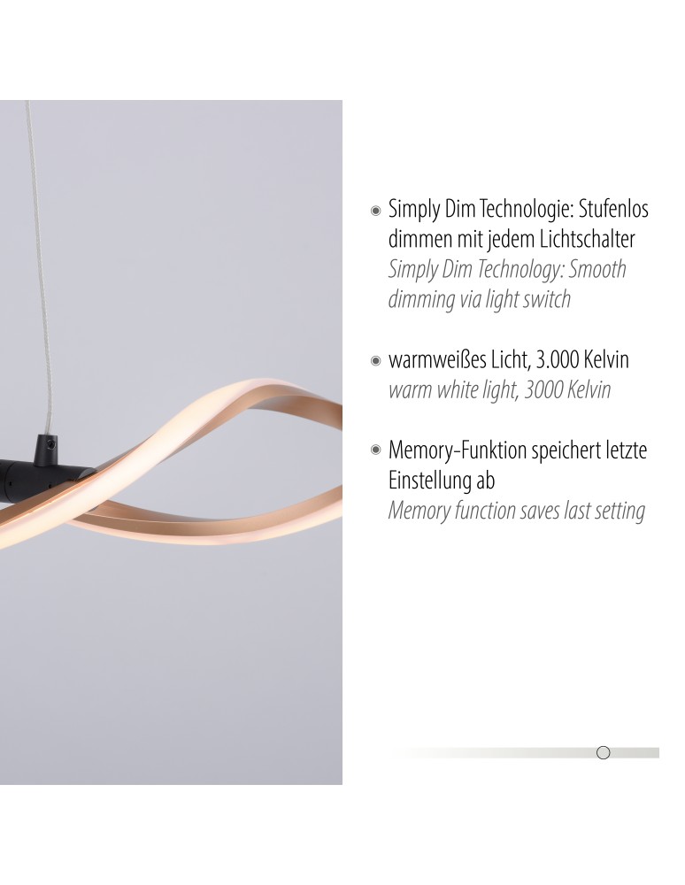 Paul Neuhaus Polia Lampa Wisząca Czarny/Złoty 9142-18