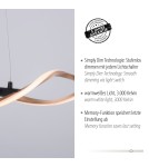 Paul Neuhaus Polia Lampa Wisząca Czarny/Złoty 9142-18