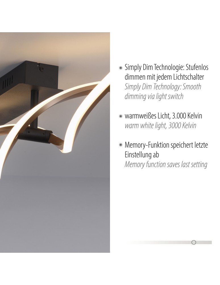 Paul Neuhaus Polina Lampa Sufitowa Czarny/Złoty 9143-18