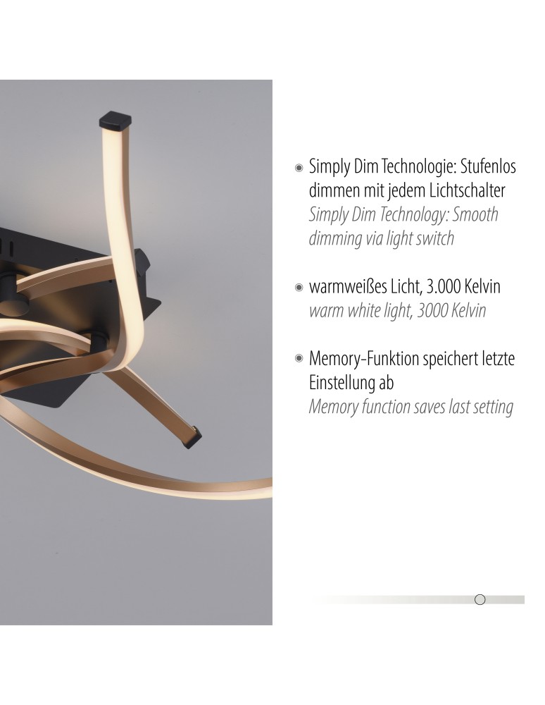 Paul Neuhaus Polina Lampa Sufitowa Czarny/Złoty 9144-18