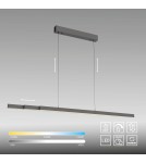 Paul Neuhaus Adriana Comfort Lift Lampa Wisząca Antracyt 2598-13