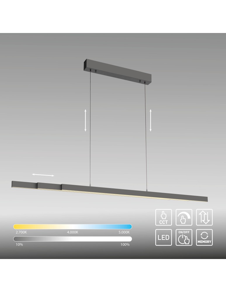 Paul Neuhaus Adriana Comfort Lift Lampa Wisząca Antracyt 2598-13