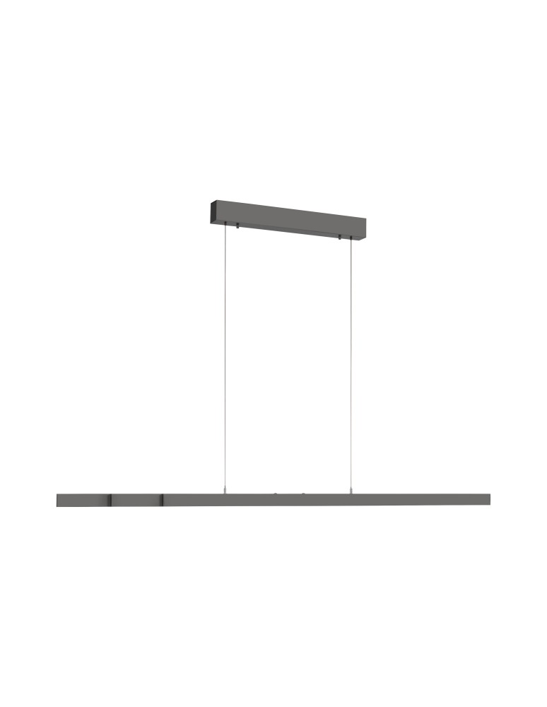 Paul Neuhaus Adriana Comfort Lift Lampa Wisząca Antracyt 2598-13