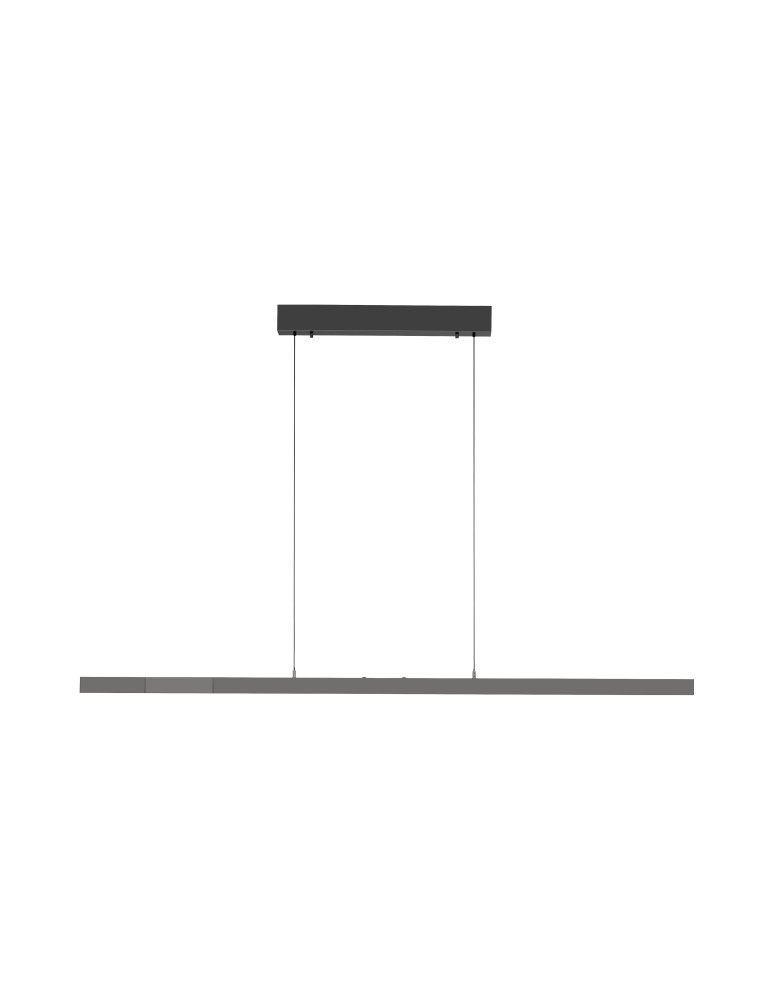 Paul Neuhaus Adriana Comfort Lift Lampa Wisząca Antracyt 2598-13