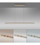 Paul Neuhaus Adriana Comfort Lift Lampa Wisząca Mosiądz 2598-97