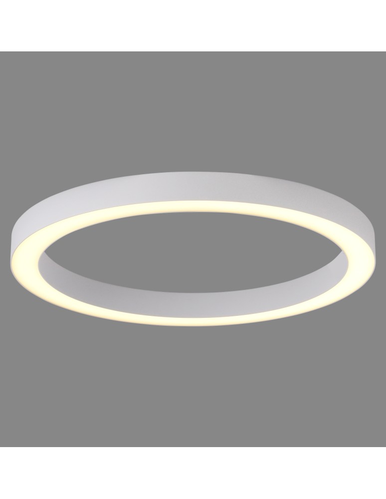 Paul Neuhaus Pure Lines Round Lampa Sufitowa Biała 6309-16