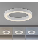 Paul Neuhaus Pure Lines Round Lampa Sufitowa Biała 6310-16