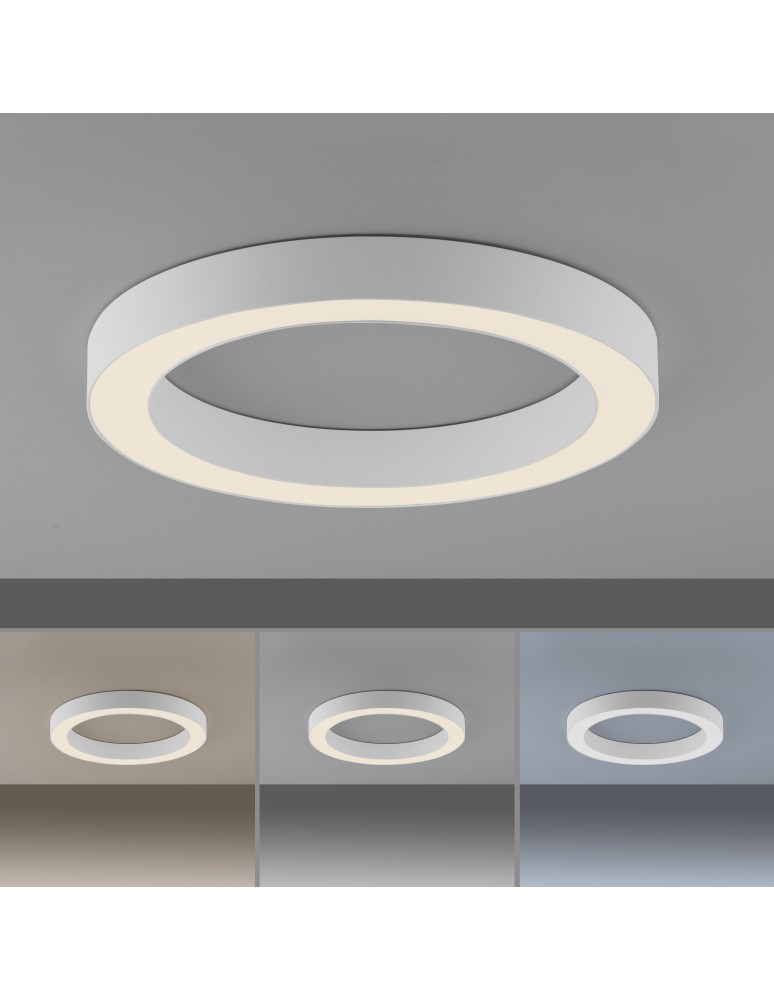Paul Neuhaus Pure Lines Round Lampa Sufitowa Biała 6310-16