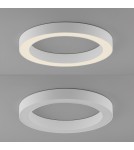 Paul Neuhaus Pure Lines Round Lampa Sufitowa Biała 6310-16