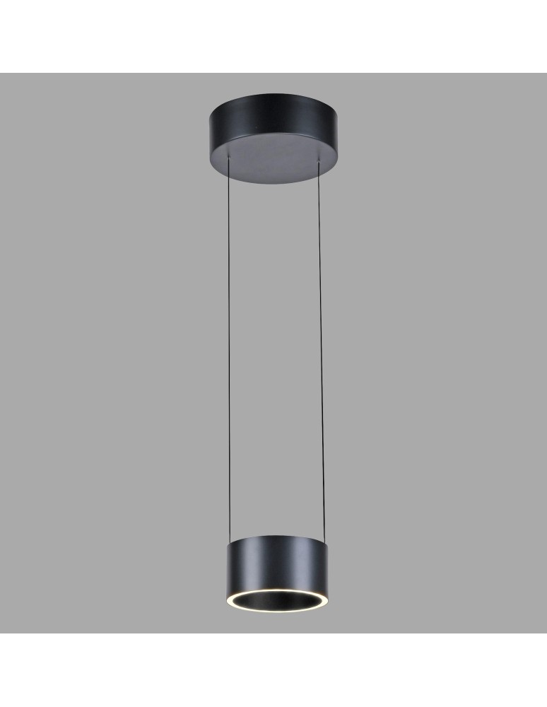 Paul Neuhaus Pure Clipse Lampa Wisząca Szara 2471-15