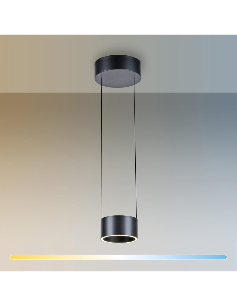 Paul Neuhaus Pure Clipse Lampa Wisząca Szara 2471-15