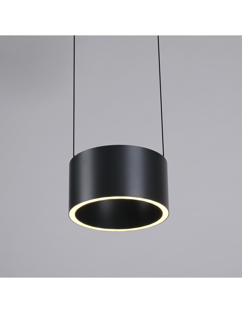 Paul Neuhaus Pure Clipse Lampa Wisząca Szara 2471-15
