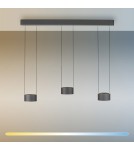Paul Neuhaus Pure Clipse Lampa Wisząca Szara 2473-15
