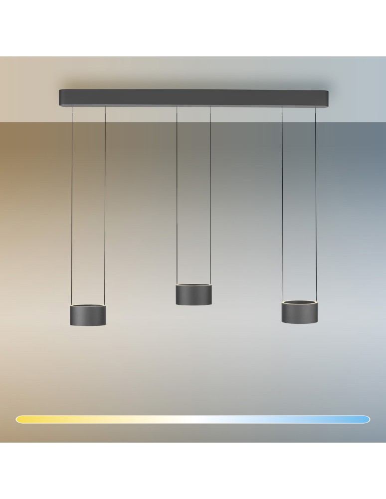 Paul Neuhaus Pure Clipse Lampa Wisząca Szara 2473-15