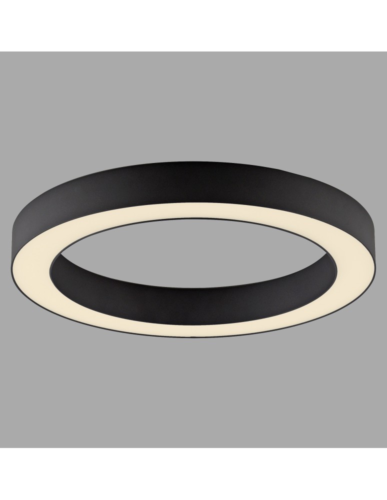 Paul Neuhaus Pure Lines Roud Lampa Sufitowa Grafitowa 6310-13