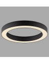 View Paul Neuhaus Pure Lines Roud Lampa Sufitowa Grafitowa 6310-13
