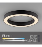 Paul Neuhaus Pure Lines Roud Lampa Sufitowa Grafitowa 6310-13