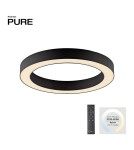 Paul Neuhaus Pure Lines Roud Lampa Sufitowa Grafitowa 6310-13