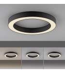 Paul Neuhaus Pure Lines Roud Lampa Sufitowa Grafitowa 6310-13