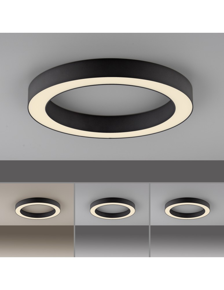 Paul Neuhaus Pure Lines Roud Lampa Sufitowa Grafitowa 6310-13
