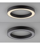 Paul Neuhaus Pure Lines Roud Lampa Sufitowa Grafitowa 6310-13
