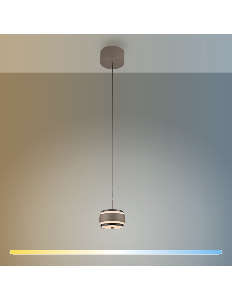 Paul Neuhaus Pure Falling Rings Lampa Wisząca Brązowa/Chrom 2503-97