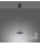 Paul Neuhaus Posh Lampa Wisząca Szara 15692-15
