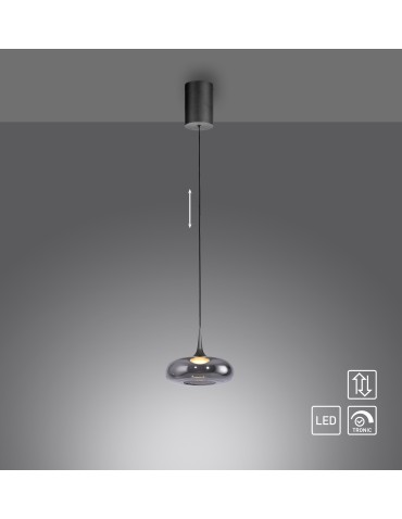Paul Neuhaus Posh Lampa Wisząca Szara 15692-15 - product 2