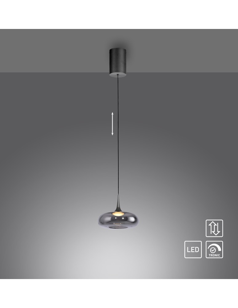 Paul Neuhaus Posh Lampa Wisząca Szara 15692-15