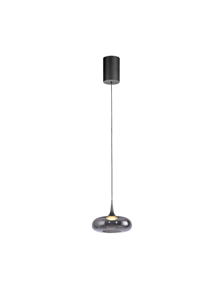 Paul Neuhaus Posh Lampa Wisząca Szara 15692-15