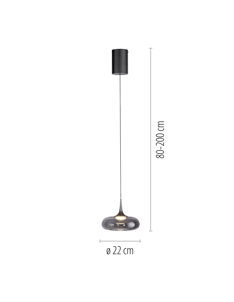 Paul Neuhaus Posh Lampa Wisząca Szara 15692-15