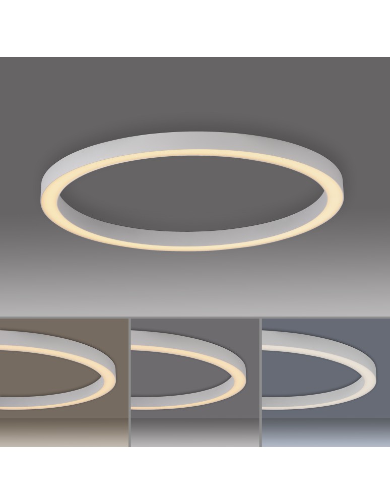 Paul Neuhaus Pure Lines Round Lampa Sufitowa Biała 6306-16