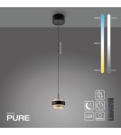 Paul Neuhaus Pure Falling Rings Lampa Wisząca Czarna 2503-18